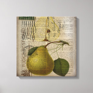Toile vintage moderne Botanique Imprimer poire de fruit