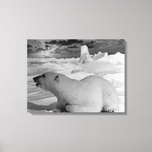 Toile Vintage Ours polaire de l'Alaska