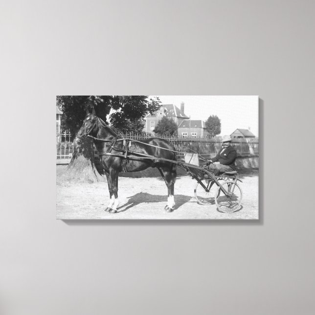 Toile Vintage trotter et sulfureux (Recto)