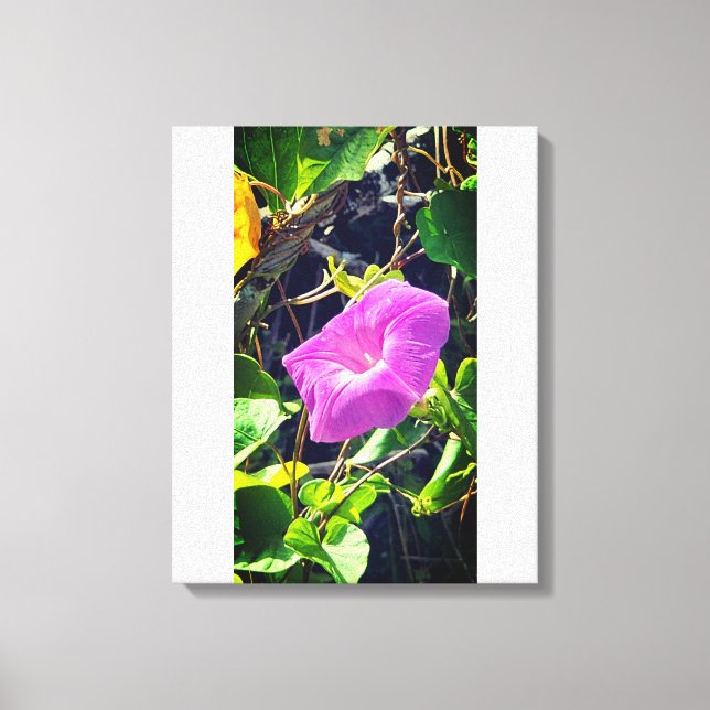 Toile Violet (Recto)