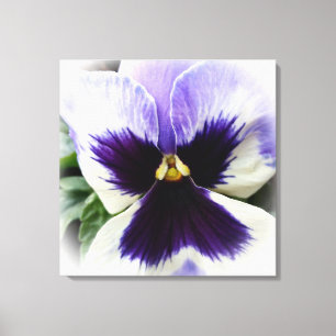 Toile violet profond sur blanc