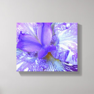 Toile violette Iris Enveloppée