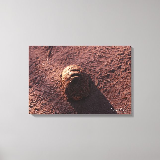 Toile Vitesse (Recto)