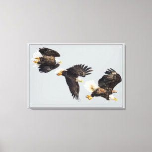 Toile Vol d'Eagle chauve