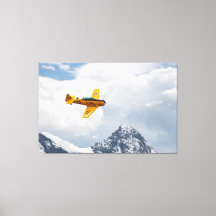 Vol en T-6 Texan Majestic