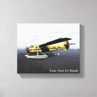 Vol Moose Aviation de Havilland DH3-C Otter
