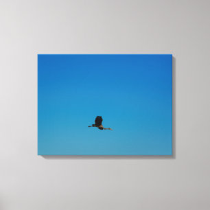 Toile Volant