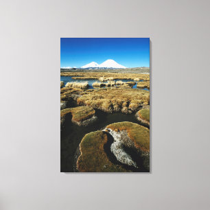 Toile Volcans Payachalas
