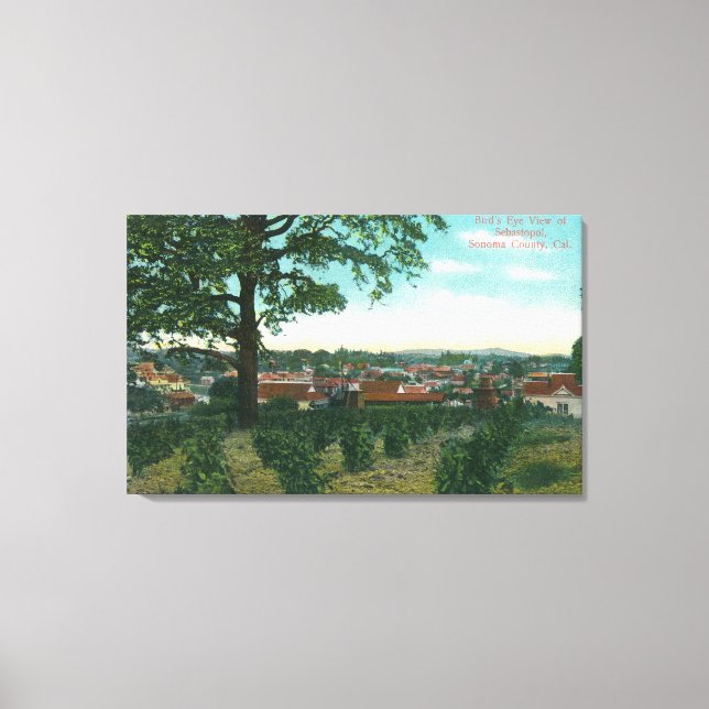 Toile Vue aérienne de la villeSebastopol, CA (Recto)