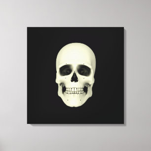 Toile Vue Avant Du Crâne Humain