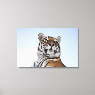 Toile Vue d'angle faible d'un tigre (Panthera le Tigre)