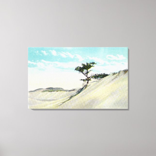 Toile Vue de la Dorothy Bradford Steamer (Recto)