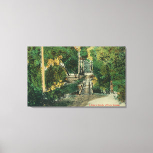Toile Vue de vue d'au sol de pique-nique de parc de
