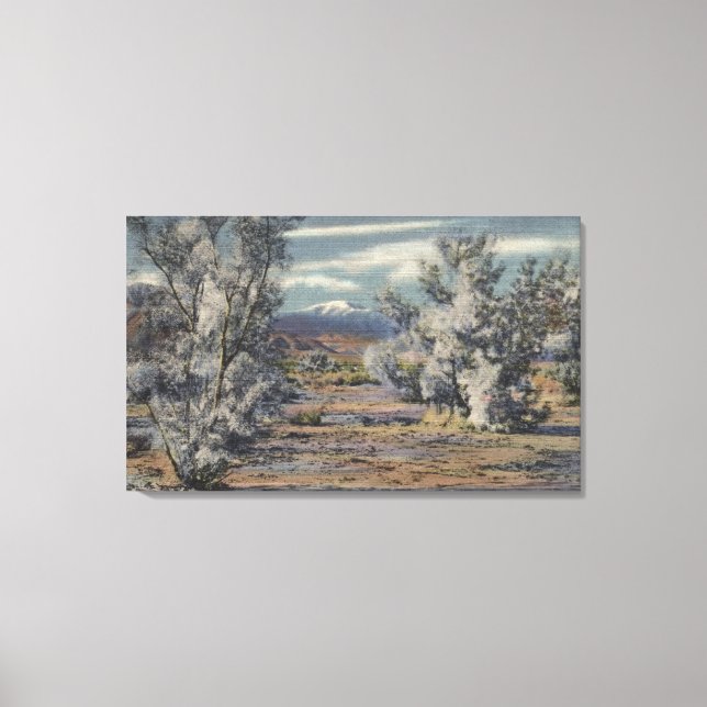 Toile Vue du mont San Gorgonio et des sources de Palm (Recto)