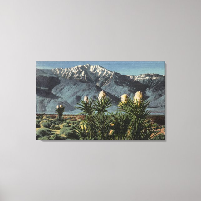 Toile Vue du mont San Jacinto, Yucca Mohavensis (Recto)