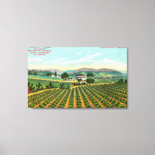 Toile Vue du vignoble GiersbergNapa, CA