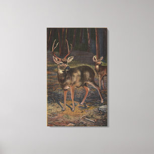 Toile Vue d'un oiseau sauvage