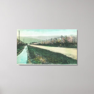 Toile Vue d'une route de campagne au printemps