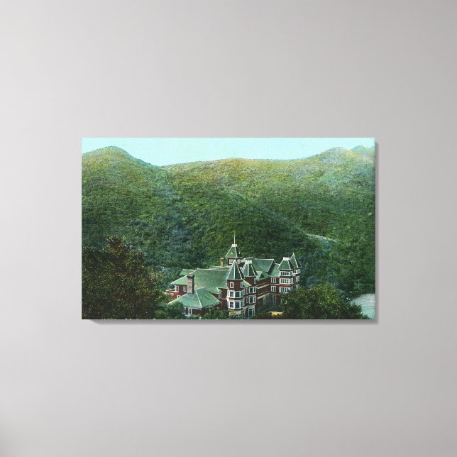 Toile Vue extérieure de Witter Springs Hotel (Recto)