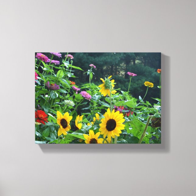 Toile Vue jardin, marguerites, cosmos, tournesols, maman (Recto)