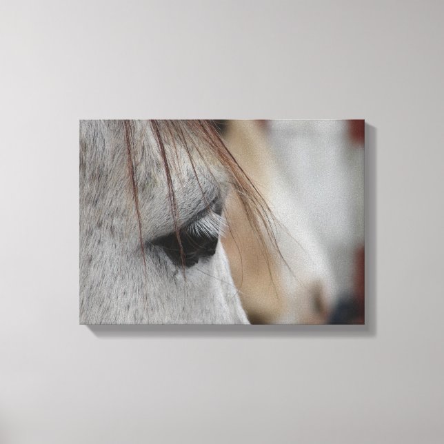 Toile Vue latérale de la tête du cheval gris (Recto)