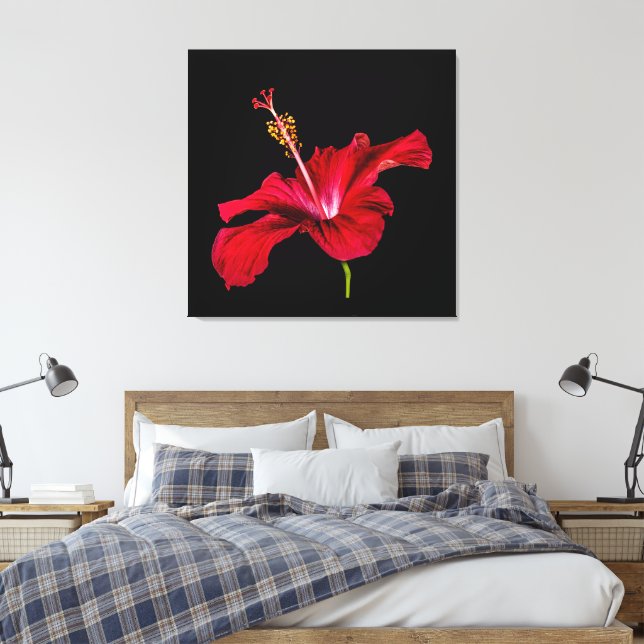 Toile Vue latérale de l'Hibiscus rouge (Insitu(Chambre))