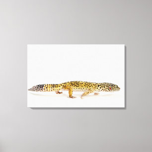Toile Vue latérale du léopard gecko lizard