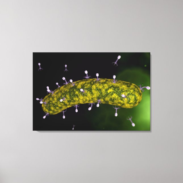 Toile Vue Microscopique De L'Attaque Aux Bactériophages (Recto)