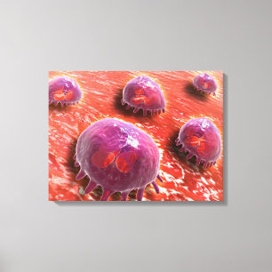 Toile Vue Microscopique Des Macrophages Phagocytiques 3