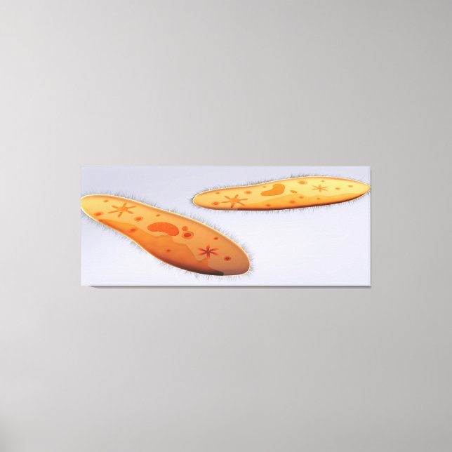 Toile Vue Microscopique Du Paramètre 4 (Recto)