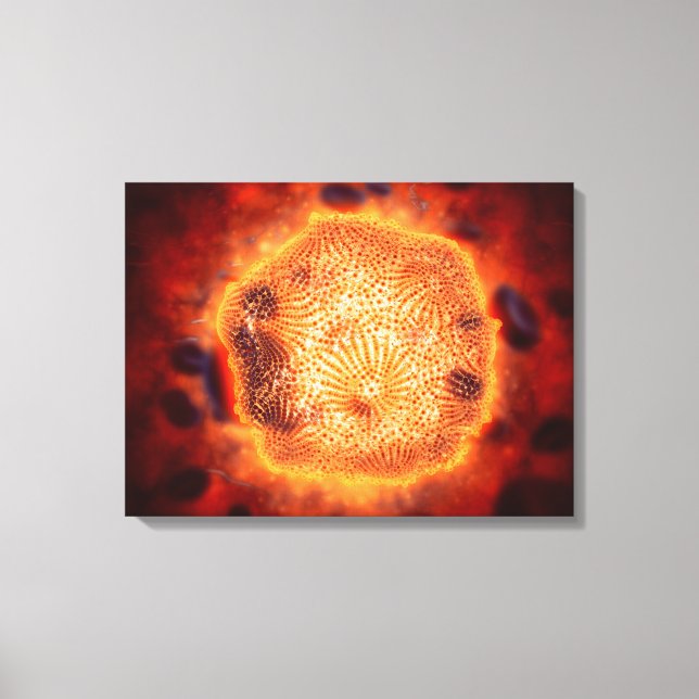 Toile Vue Microscopique Du Parvovirus Canin 4 (Recto)