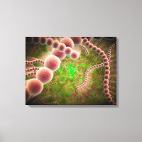 Vue Microscopique Du Streptococcus Pneumoniae