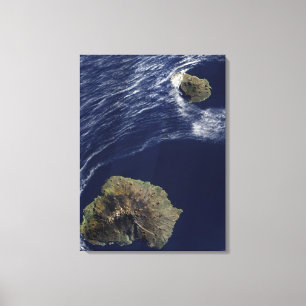 Toile Vue satellite du prince Edouard Islands
