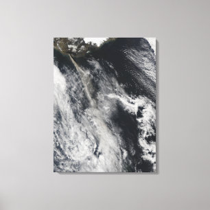 Toile Vue satellite d'une plume 2 de cendre