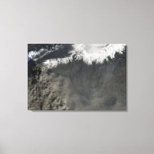 Toile Vue satellite d'une plume 4 de cendre