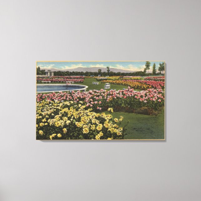 Toile Vue sur le jardin des Roses municipaux (Recto)