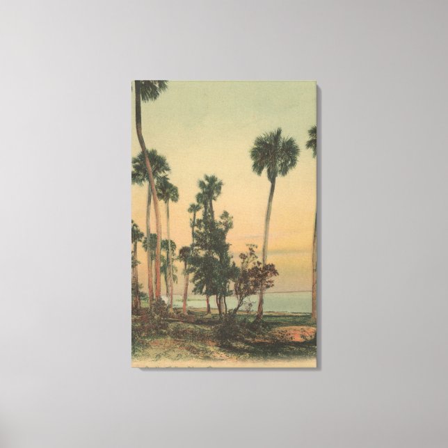 Toile Vue sur le rivage de la rivière Indian avec des pa (Recto)