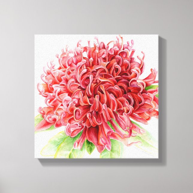 Toile Waratah fleurs rouges botanica art (Recto)