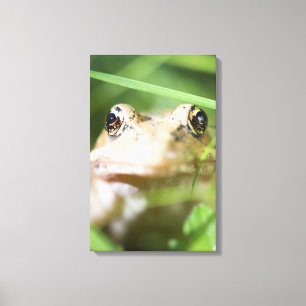 Toile Washington, États-Unis 2