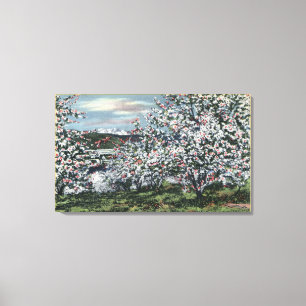Toile Washington - vue des pommiers Dans la fleur