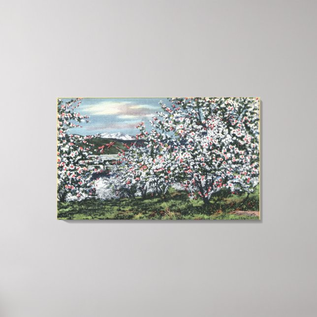 Toile Washington - Vue sur les pommiers en fleurs (Recto)