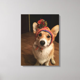 Toile Welsh Corgi Pembroke Portant Un Casquette À Main