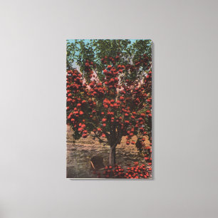 Toile Wenatchee, WAA Wenatchee Valley Apple Tree