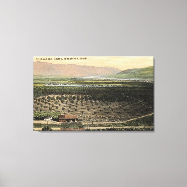 Toile Wenatchee, WashingtonVue aérienne d'un verger (Recto)