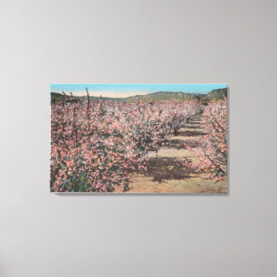 Toile Wenatchee, WAView des pommiers en fleurs