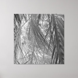 Toile Whispers Des Tropiques