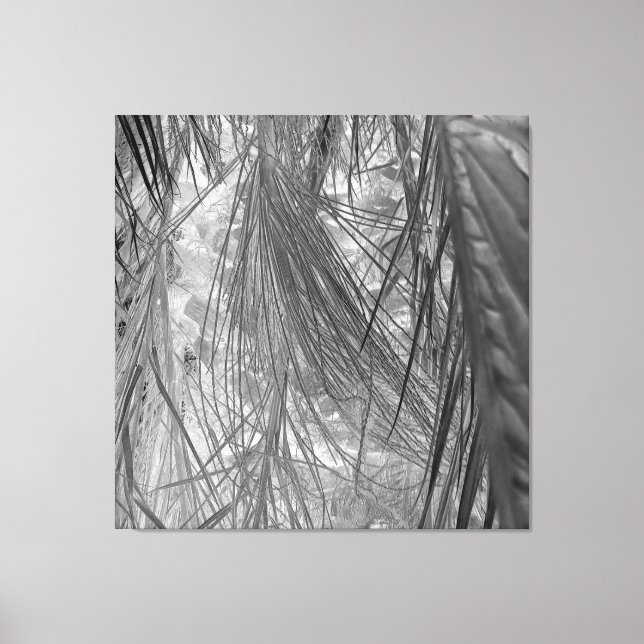 Toile Whispers Des Tropiques (Recto)