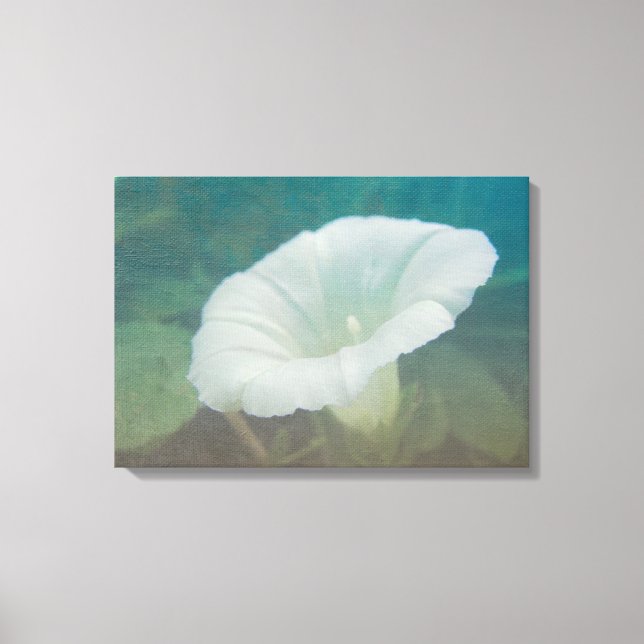 Toile White Bindweed - La gloire vivace du matin (Recto)
