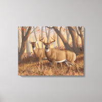 White Deer Buck & Doe Automne Maple Woods