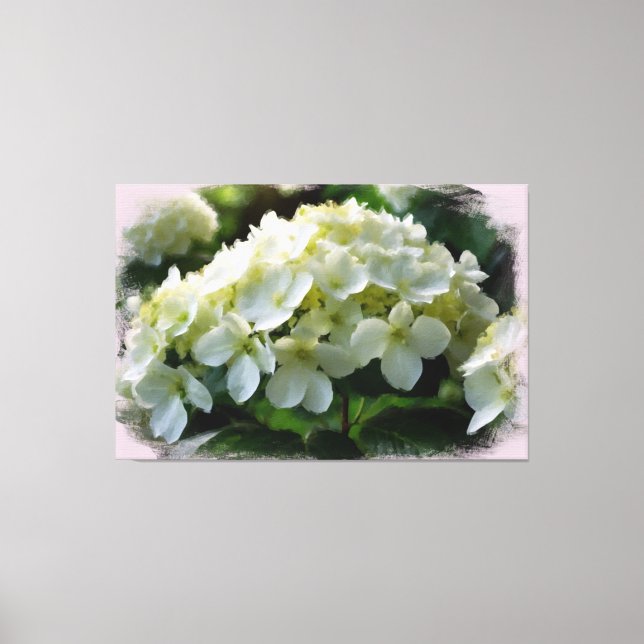 Toile *~* White Hydrangea TV2 Art Stretted Canvas Imprim (Recto)